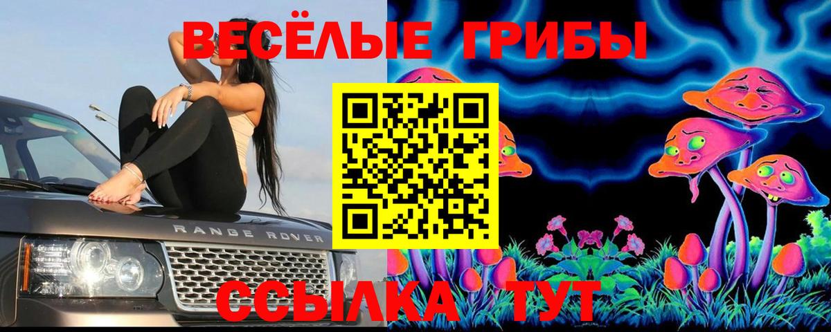 Галлюциногенные грибы мухоморы Орск